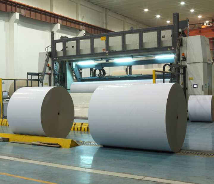 White Top Liner Board